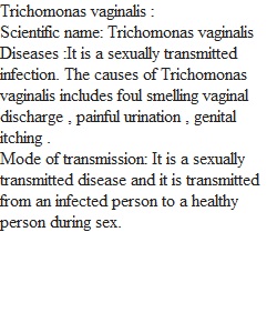 Protozoan Assignment